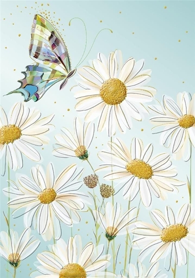 Picture of Turnowsky Karnet B6 + koperta Kwiaty astry