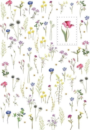 Picture of Turnowsky Karnet B6 + koperta MO5083 Kwiaty