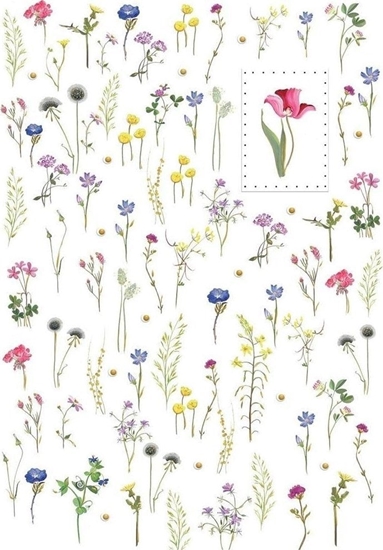 Picture of Turnowsky Karnet B6 + koperta MO5083 Kwiaty