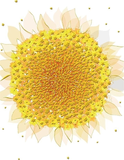 Picture of Turnowsky Karnet B6 + koperta MO5516W Sonecznik