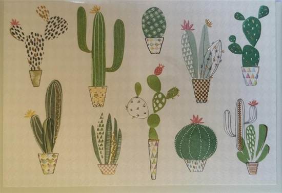 Picture of Turnowsky Karnet B6 + koperta MO7475 Kaktusy