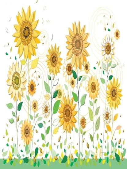 Picture of Turnowsky Karnet B6 + koperta Soneczniki