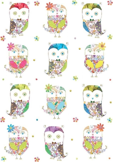 Picture of Turnowsky Karnet B6 + koperta Sówki