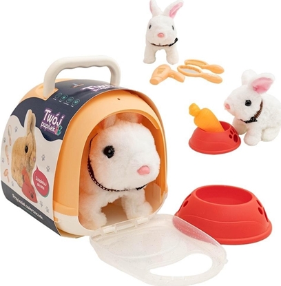 Attēls no Twój pupilek Zajczek z domkiem