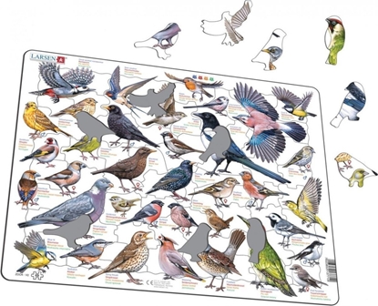 Picture of Ukadanka Garden Birds Ptaki ogrodowe polne Maxi