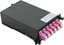 Picture of Value MPO Module, MPO-Male /12x LC - Female