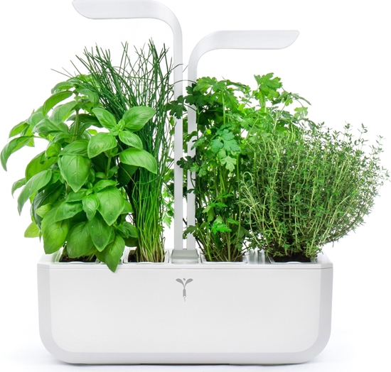 Picture of Veritable Véritable CLASSIC - Automatický kvtiná, bílá