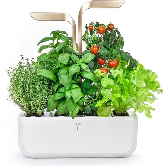 Picture of Veritable Doniczka Connect Moonlight Gold