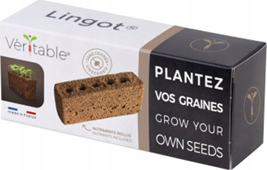 Picture of Veritable Véritable Lingot - prázdný pro vae semena