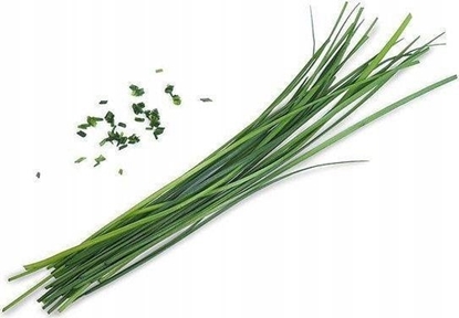 Изображение Veritable Véritable Lingot ínská paitka - BIO