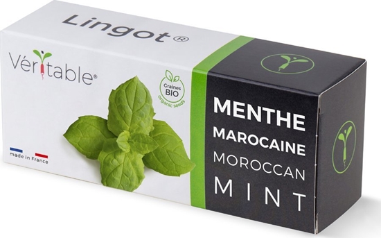 Picture of Veritable Véritable Lingot Marocká máta - BIO