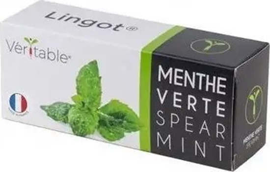 Изображение Veritable Véritable Lingot Máta klasnatá