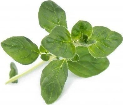 Attēls no Veritable Véritable Lingot Oregano - BIO
