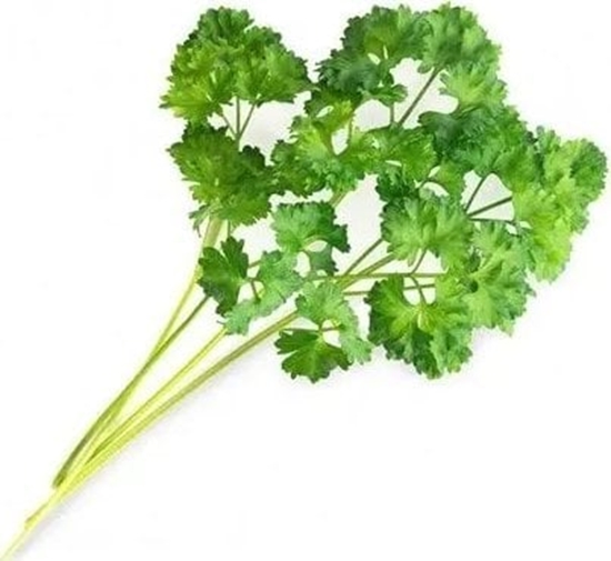 Picture of Veritable Véritable Lingot Petrelová na - BIO