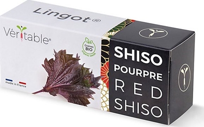 Picture of Veritable Wkad nasienny Lingot Pachnotka czerwona  100% BIO