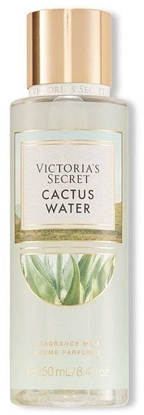 Изображение Victoria's Secret Cactus Water mgieka do ciaa 250ml