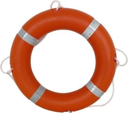 Attēls no vidaXL LIFEBELT 2.5KG