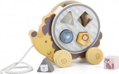 Attēls no Viga Viga 44025 PolarB Je Jerzy 2w1 sorter do ciagnicia