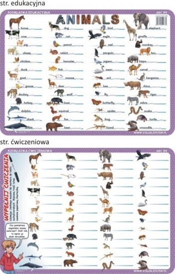 Picture of Visual System Podkadka wiczeniowa - Animals