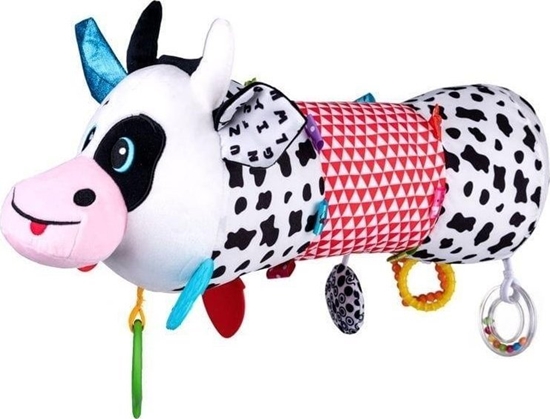 Picture of Waek Krówka