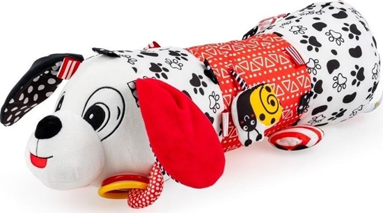 Picture of Waek Piesek Pedro