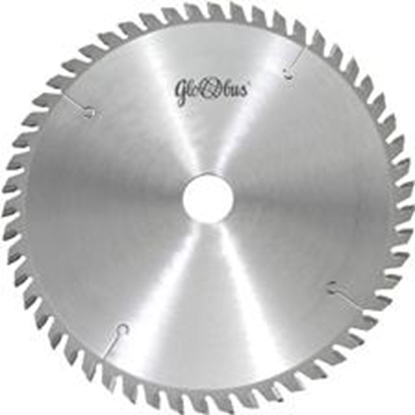 Picture of Wapienica Pia tarczowa DNPDe 500x30x4,2/60z GS10 GLOBUS - PS210-0500-0002