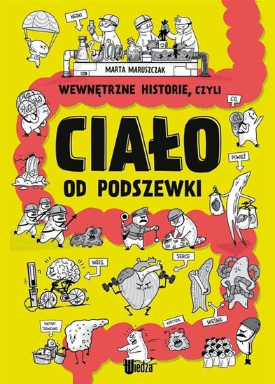 Picture of Wewntrzne historie, czyli ciao od podszewki