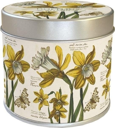 Изображение wieczka onkile zapach cytrynowy Wielkanoc