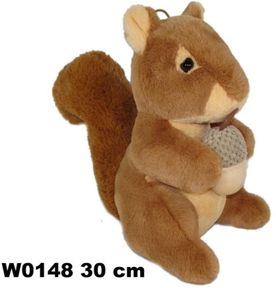 Picture of Wiewiórka 30cm