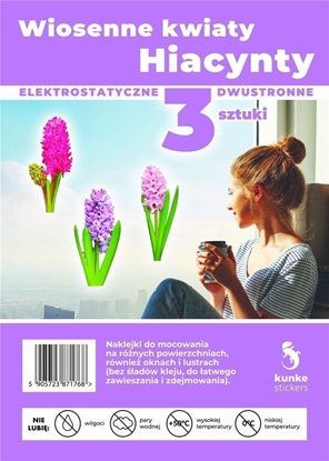 Изображение Wiosenne kwiaty Hiacynty 3szt