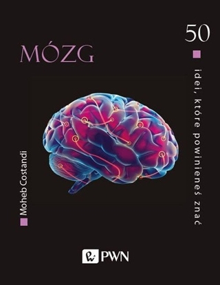 Attēls no Wydawnictwo Naukowe PWN 50 idei, które powiniene zna Mózg