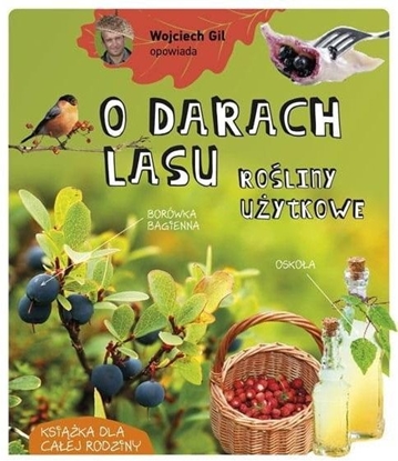 Изображение Wojciech Gil opowiada o darach lasu EDUKAMP