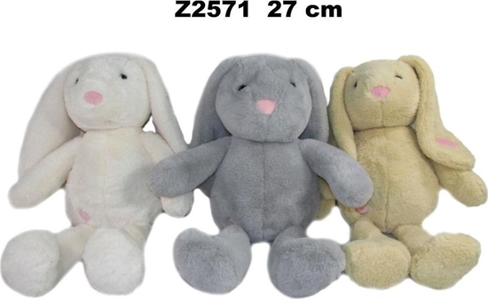 Изображение Zajc 27cm MIX