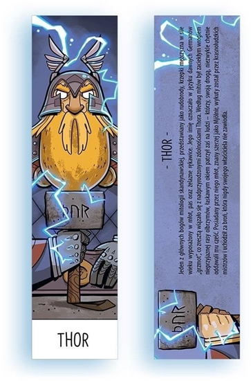 Picture of Zakadka kartonowa - Thor