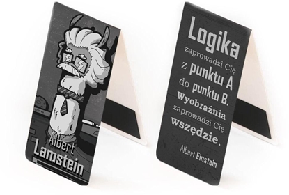 Picture of Zakadka magnetyczna - Logika