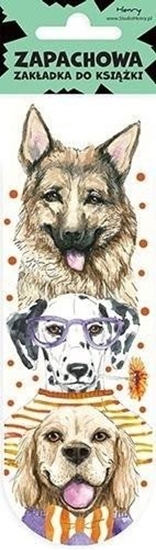 Picture of Zakadka zapach Pies pomaraczowy