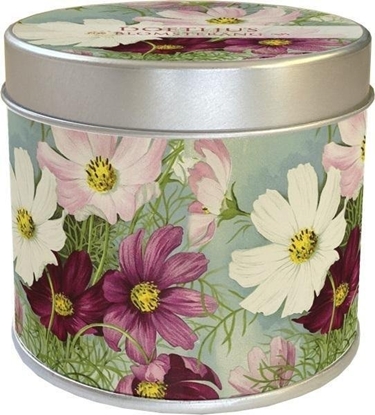 Изображение Zapachowa wieczka 229 zawilce - zapach kwiatowy