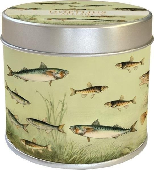 Изображение Zapachowa wieczka 232 Nordyckie ryby