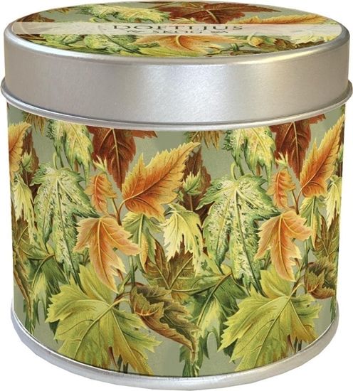 Изображение Zapachowa wieczka jesienne licie - zapach leny