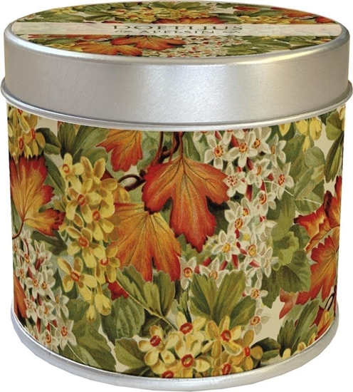 Изображение Zapachowa wieczka jesienne licie - zapach pomar