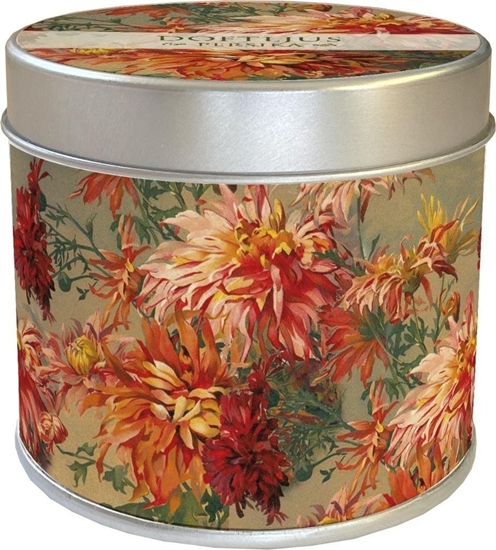 Изображение Zapachowa wieczka pomar. dalia - zapach brzoskwin