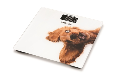Attēls no Zelmer ZBS1010 Crazy dog