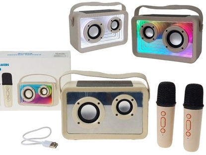 Изображение Zestaw 2 mikrofonów z gonikiem