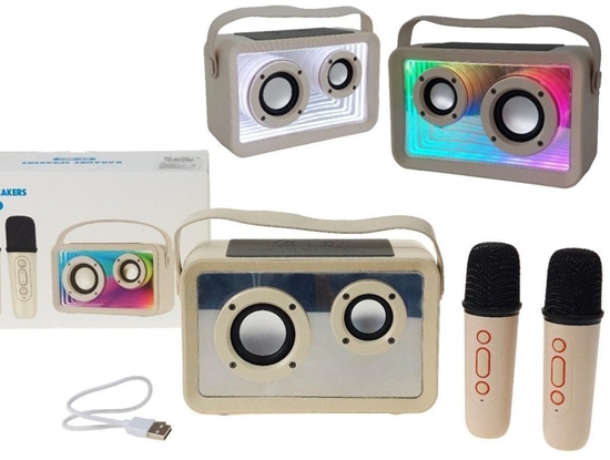 Изображение Zestaw 2 mikrofonów z gonikiem