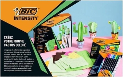 Изображение Zestaw Intensity Paper Cactus BIC