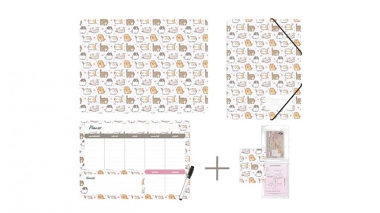 Picture of Zestaw szkolny z nadrukiem Kittens