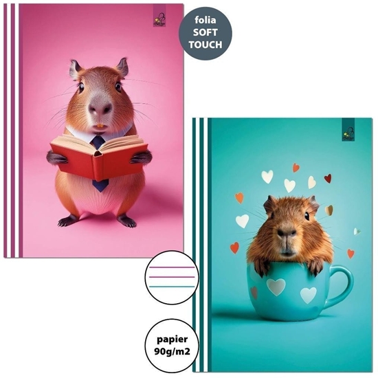 Picture of Zeszyt A4/32K 3-linie kolor 90g Kapibara (6szt)