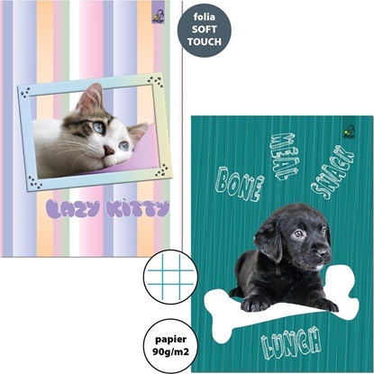 Attēls no Zeszyt A4/32K kratka 90g BF (5szt)