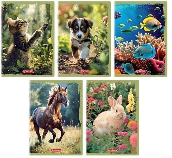 Picture of Zeszyt A5/16K gadki Animals (20szt)