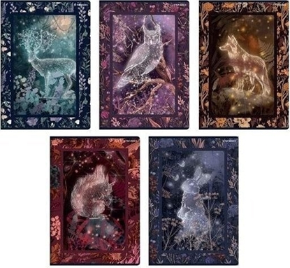 Picture of Zeszyt A5/32K linia Fairytale (10szt) TOP2000